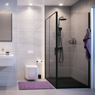 Душевой уголок 100x80x200см WasserKraft Elbe 74P17