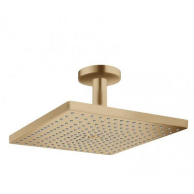 Верхний душ бронза Hansgrohe Raindance E 300 1jet 26250140