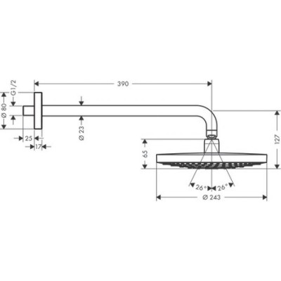 Верхний душ хром Hansgrohe Raindance Select ES 26470000