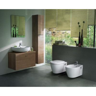 Подвесной унитаз Ideal Standard Connect с полочкой E804501