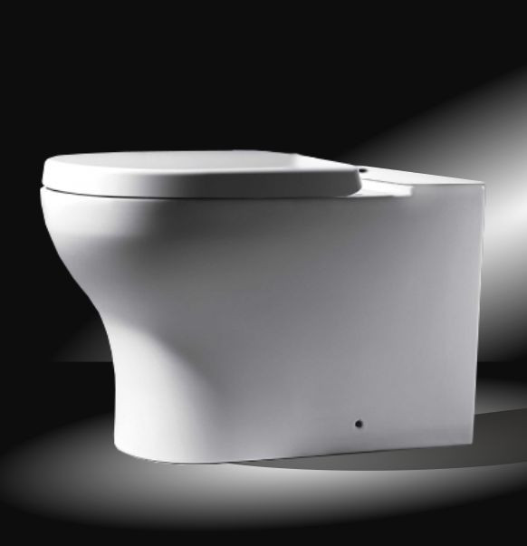 Чаша напольного унитаза 67x37.5x40.5см белая Bravat CX01016UW-PA-RUS
