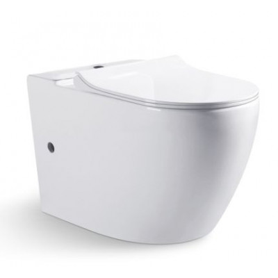 Чаша напольного унитаза 68.5x36.5x41см белая Bravat CX01008UW-PA-ENG