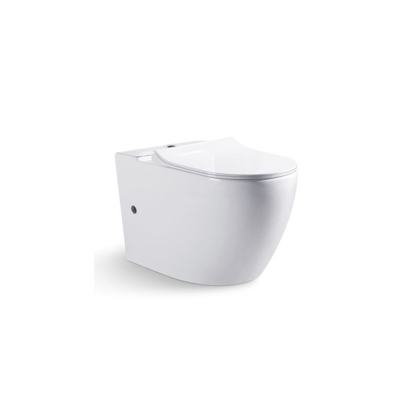 Чаша напольного унитаза 68.5x36.5x41см белая Bravat CX01008UW-PA-ENG