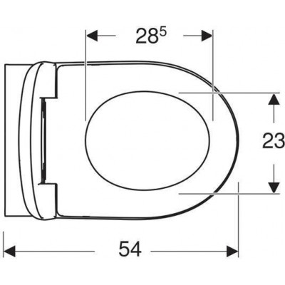 Подвесной унитаз T54 Rimfree (203050)  с микролифтом  Geberit
