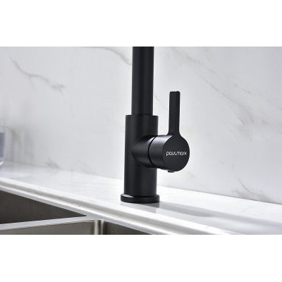 Смеситель для кухни черный Paulmark Halt Ha214021-401