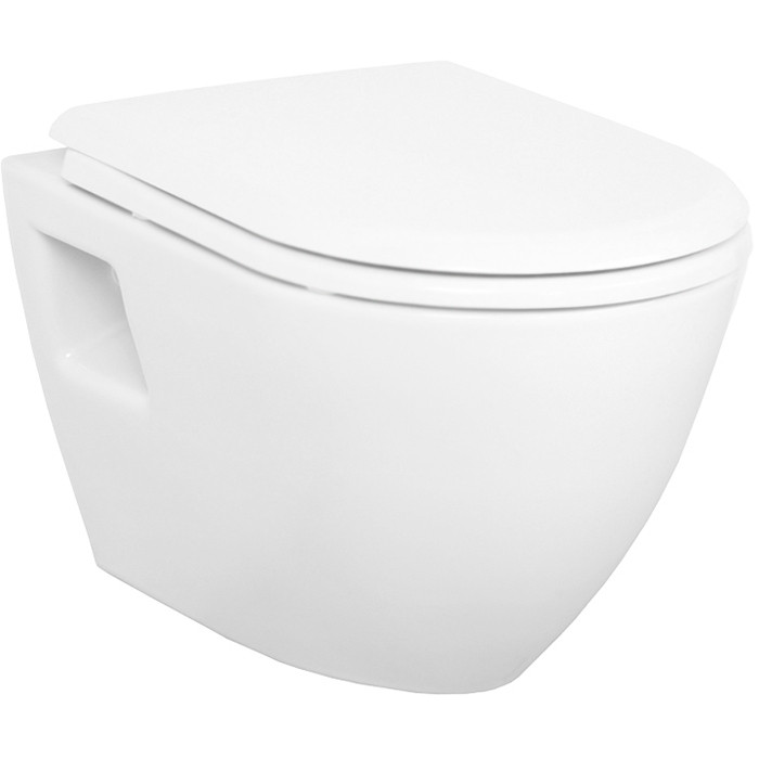 Подвесной унитаз с биде Creavit Terra TP325-00CB00E-0000