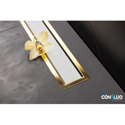 Душевой лоток Pestan Confluo Premium White Glass Line 550 Gold, белое, стекло, золотая кромка, 13100121