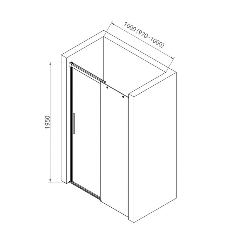 Душевая дверь хром 100x195см AQUAme AQM4803-10