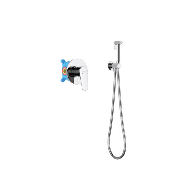 Смеситель с гигиеническим душем хром Aquatek Бетта AQ1119CR