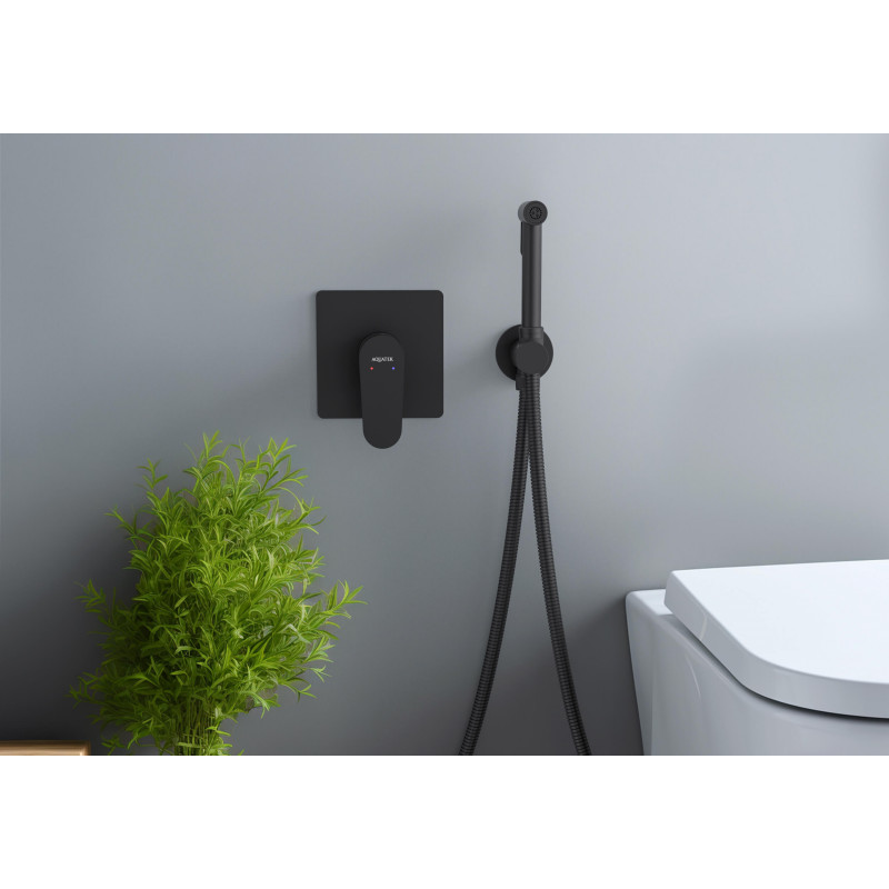 Смеситель с гигиеническим душем черный Aquatek Оберон AQ1219MB