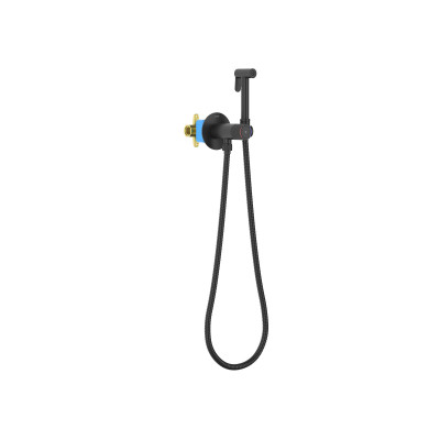 Гигиенический душ со смесителем и шлангом черный Aquatek Бетта AQ1023MB