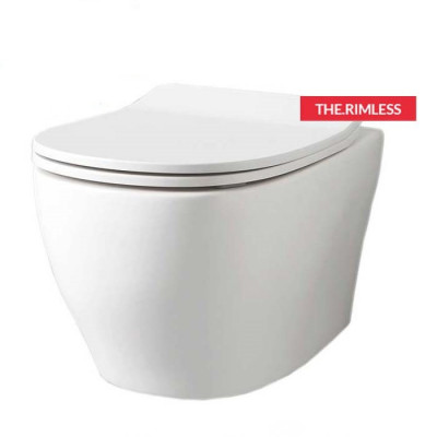 Крышка для чаши ArtCeram Ten 4.0 TEA005 с микролифтом, белая, петли хром