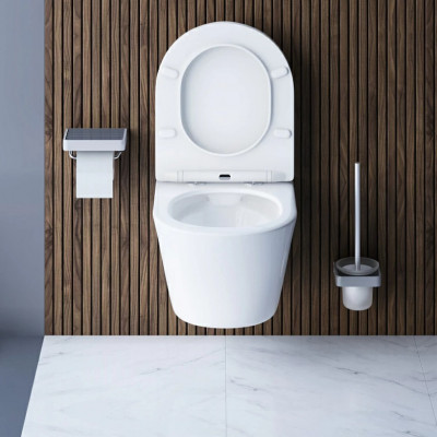 Унитаз подвесной Damixa Skyline DX35C1700SC безободковый с сиденьем микролифт, белый