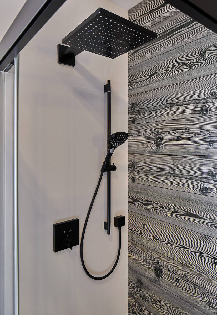Ручной душ Hansgrohe Raindance Select E 120 3jet, матовый черный