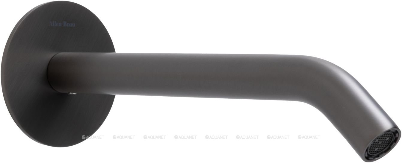 Излив Allen Brau Priority 5.31B18-MG 209мм брашированный графит