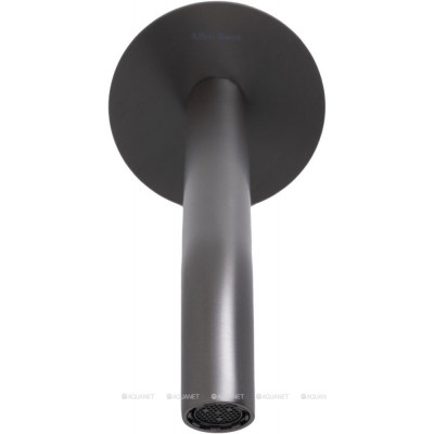 Излив Allen Brau Priority 5.31B18-MG 209мм брашированный графит