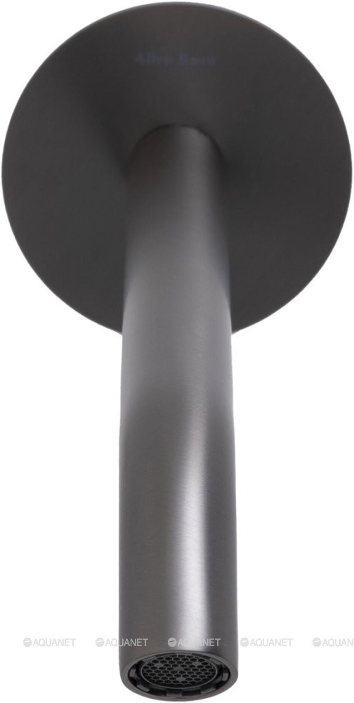 Излив Allen Brau Priority 5.31B18-MG 209мм брашированный графит