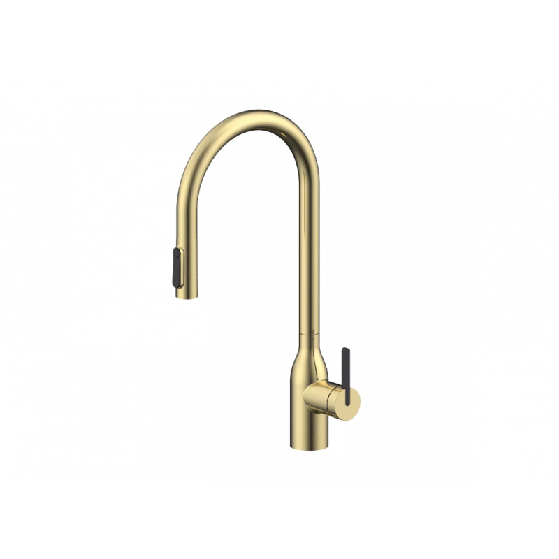 Смеситель Paulmark UNIVERSAL Metallum с подключением к фильтру для воды, с вытяжным шлангом, светлое золото