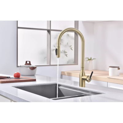 Смеситель Paulmark UNIVERSAL Metallum с подключением к фильтру для воды, с вытяжным шлангом, светлое золото