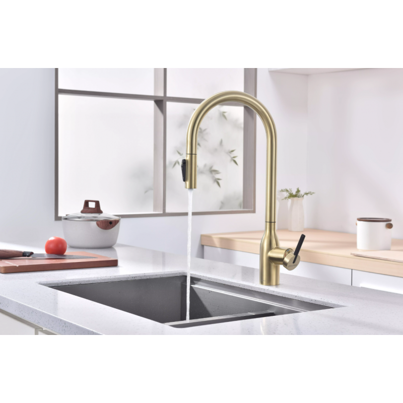 Смеситель Paulmark UNIVERSAL Metallum с подключением к фильтру для воды, с вытяжным шлангом, светлое золото