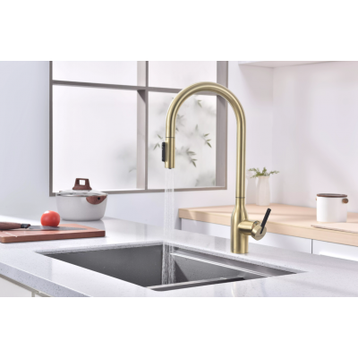 Смеситель Paulmark UNIVERSAL Metallum с подключением к фильтру для воды, с вытяжным шлангом, светлое золото