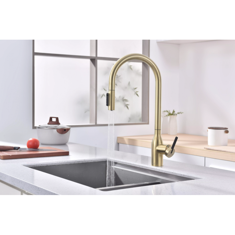 Смеситель Paulmark UNIVERSAL Metallum с подключением к фильтру для воды, с вытяжным шлангом, светлое золото