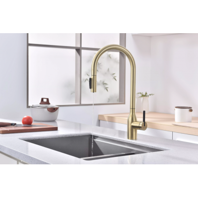 Смеситель Paulmark UNIVERSAL Metallum с подключением к фильтру для воды, с вытяжным шлангом, светлое золото