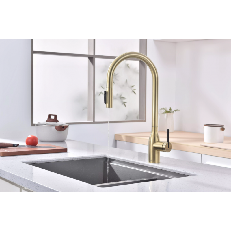 Смеситель Paulmark UNIVERSAL Metallum с подключением к фильтру для воды, с вытяжным шлангом, светлое золото