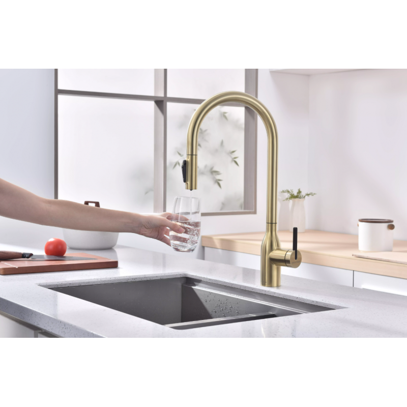 Смеситель Paulmark UNIVERSAL Metallum с подключением к фильтру для воды, с вытяжным шлангом, светлое золото