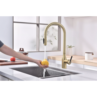 Смеситель Paulmark UNIVERSAL Metallum с подключением к фильтру для воды, с вытяжным шлангом, светлое золото