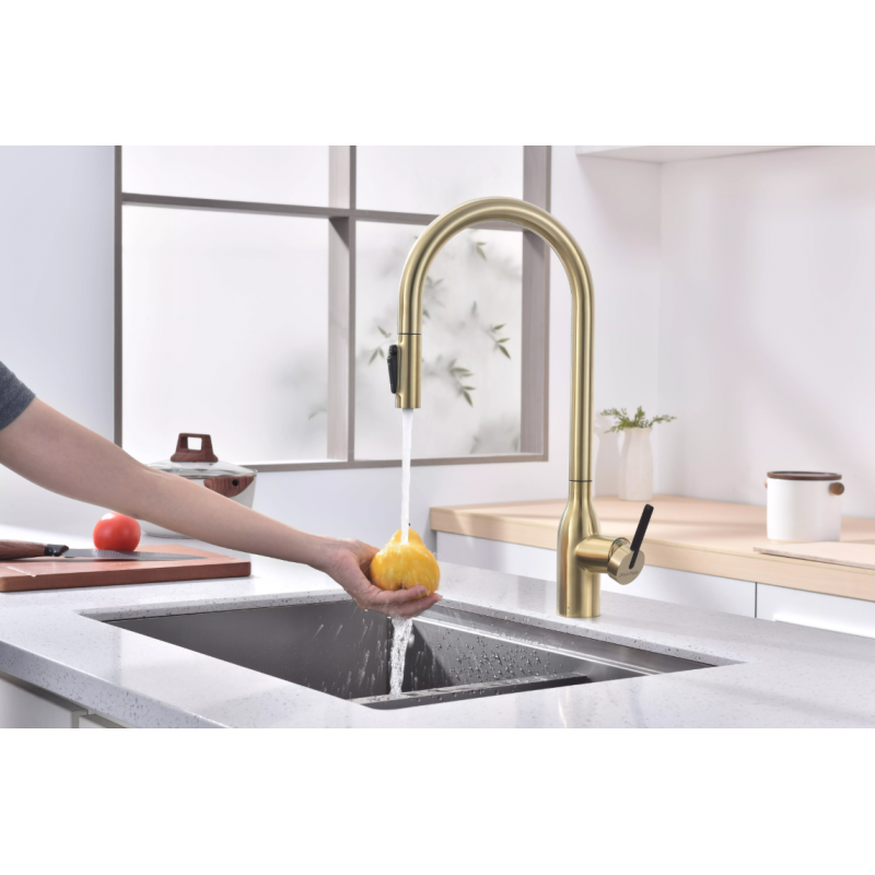 Смеситель Paulmark UNIVERSAL Metallum с подключением к фильтру для воды, с вытяжным шлангом, светлое золото