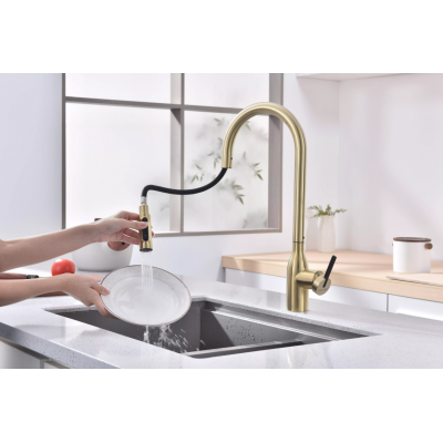 Смеситель Paulmark UNIVERSAL Metallum с подключением к фильтру для воды, с вытяжным шлангом, светлое золото