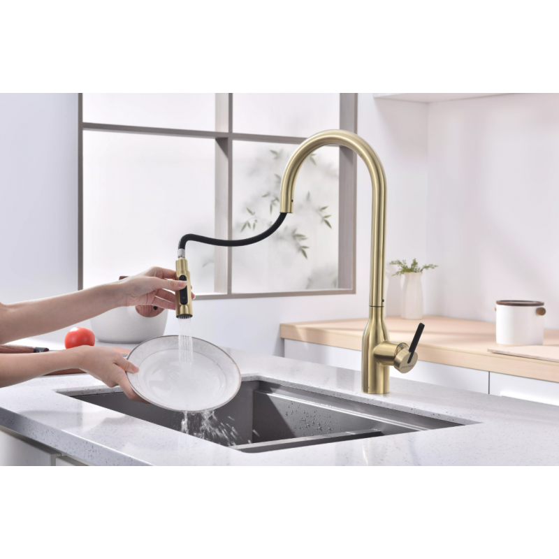 Смеситель Paulmark UNIVERSAL Metallum с подключением к фильтру для воды, с вытяжным шлангом, светлое золото