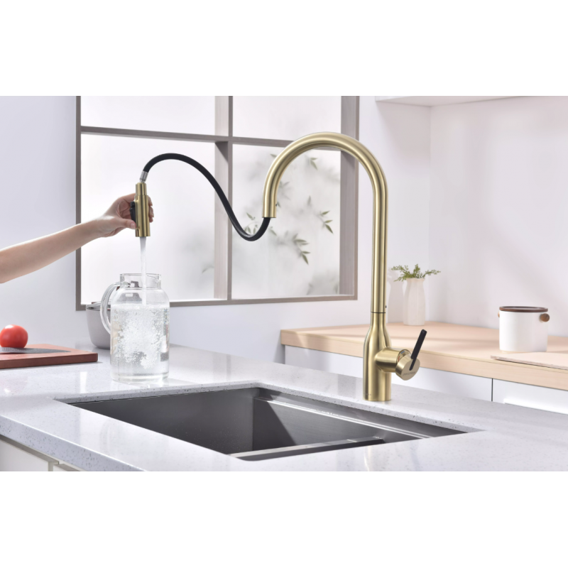 Смеситель Paulmark UNIVERSAL Metallum с подключением к фильтру для воды, с вытяжным шлангом, светлое золото