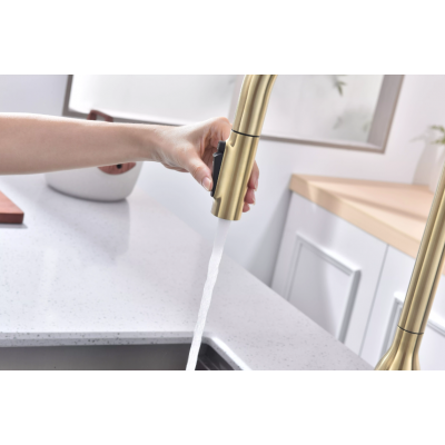 Смеситель Paulmark UNIVERSAL Metallum с подключением к фильтру для воды, с вытяжным шлангом, светлое золото