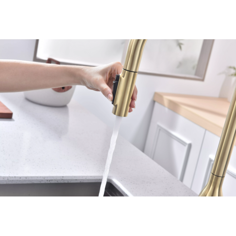 Смеситель Paulmark UNIVERSAL Metallum с подключением к фильтру для воды, с вытяжным шлангом, светлое золото