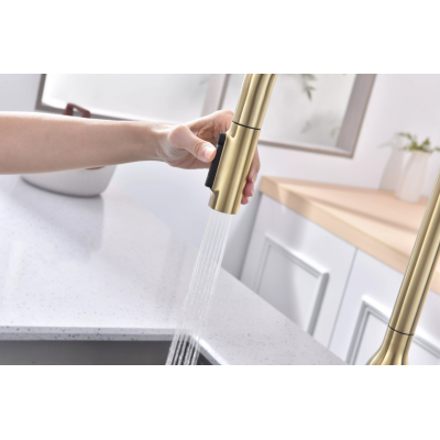 Смеситель Paulmark UNIVERSAL Metallum с подключением к фильтру для воды, с вытяжным шлангом, светлое золото