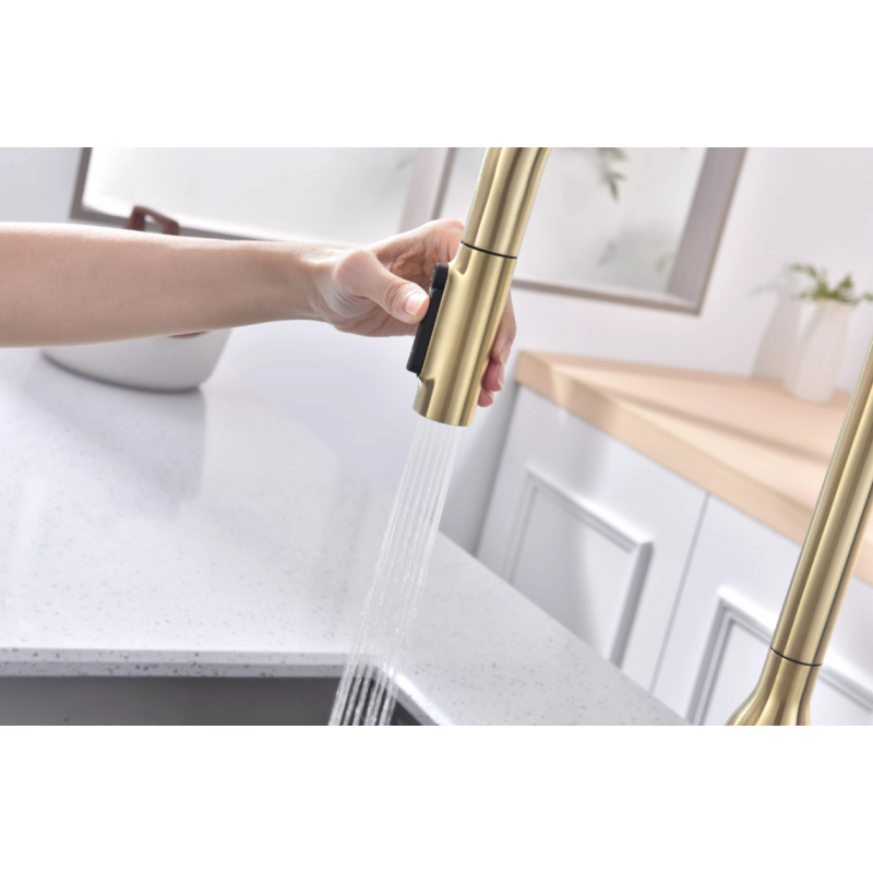 Смеситель Paulmark UNIVERSAL Metallum с подключением к фильтру для воды, с вытяжным шлангом, светлое золото