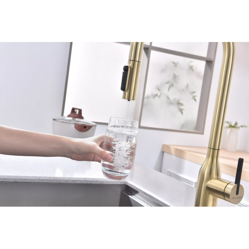 Смеситель Paulmark UNIVERSAL Metallum с подключением к фильтру для воды, с вытяжным шлангом, светлое золото