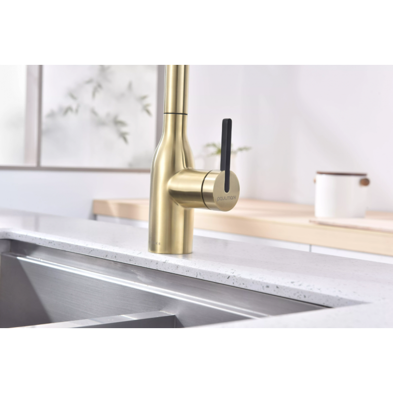 Смеситель Paulmark UNIVERSAL Metallum с подключением к фильтру для воды, с вытяжным шлангом, светлое золото