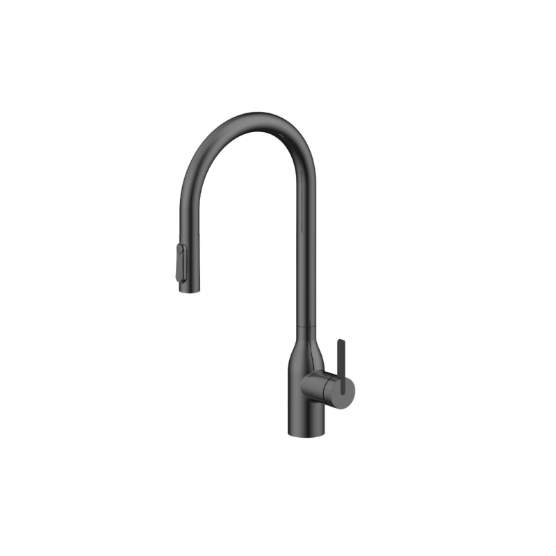 Смеситель Paulmark UNIVERSAL Metallum с подключением к фильтру для воды, с вытяжным шлангом, Вороненая сталь
