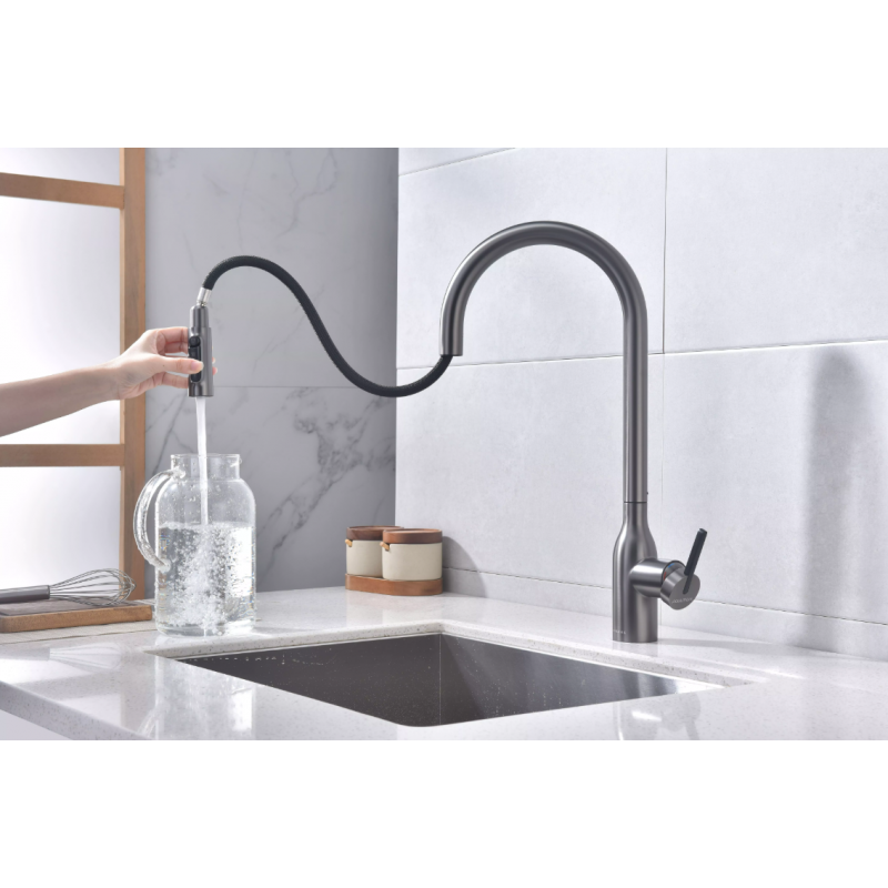 Смеситель Paulmark UNIVERSAL Metallum с подключением к фильтру для воды, с вытяжным шлангом, Вороненая сталь