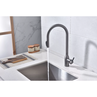 Смеситель Paulmark UNIVERSAL Metallum с подключением к фильтру для воды, с вытяжным шлангом, Хром