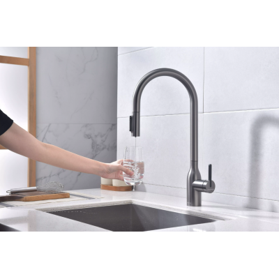 Смеситель Paulmark UNIVERSAL Metallum с подключением к фильтру для воды, с вытяжным шлангом, Брашированная сталь