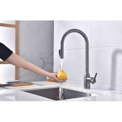Смеситель Paulmark UNIVERSAL Metallum с подключением к фильтру для воды, с вытяжным шлангом, Брашированная сталь
