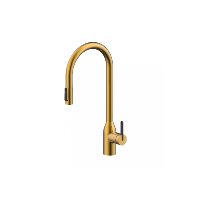 Смеситель Paulmark UNIVERSAL Metallum с подключением к фильтру для воды, с вытяжным шлангом, Брашированное золото