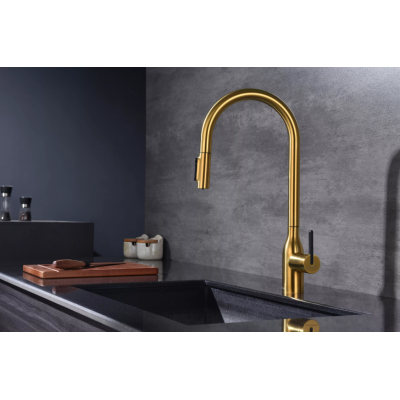 Смеситель Paulmark UNIVERSAL Metallum с подключением к фильтру для воды, с вытяжным шлангом, Брашированное золото