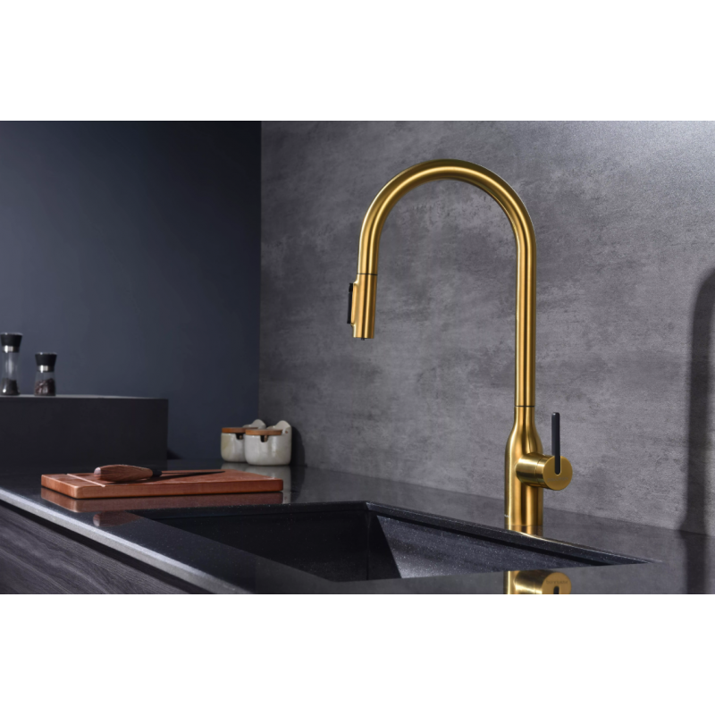 Смеситель Paulmark UNIVERSAL Metallum с подключением к фильтру для воды, с вытяжным шлангом, Брашированное золото