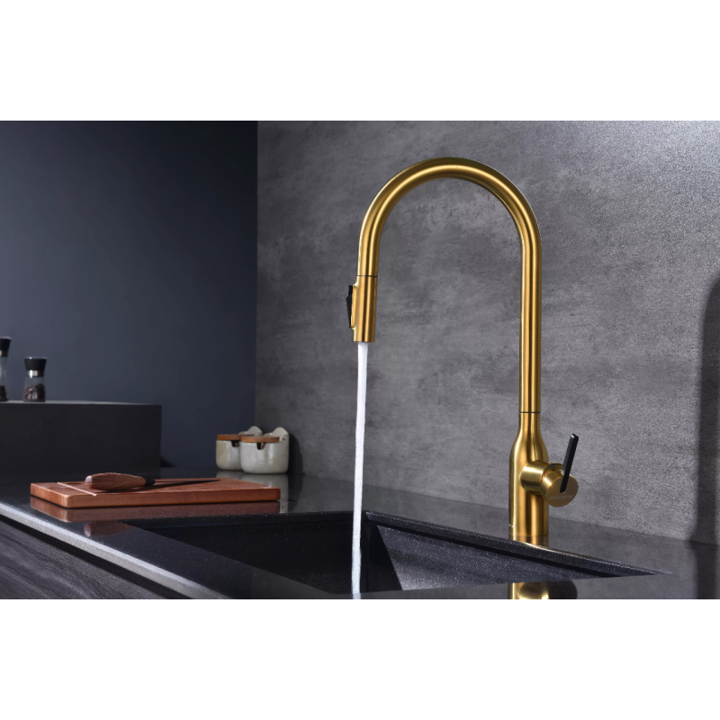 Смеситель Paulmark UNIVERSAL Metallum с подключением к фильтру для воды, с вытяжным шлангом, Брашированное золото