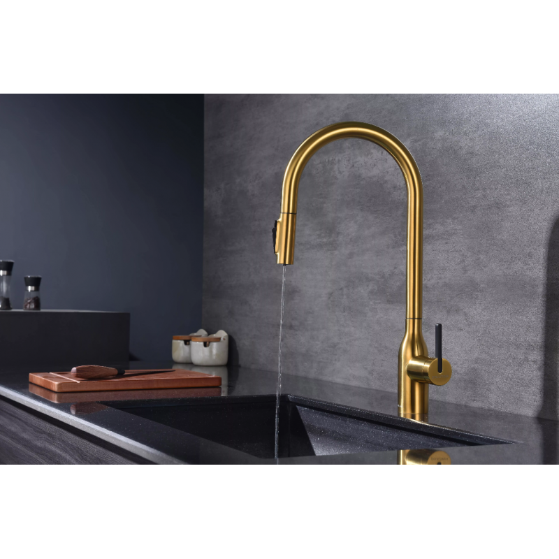 Смеситель Paulmark UNIVERSAL Metallum с подключением к фильтру для воды, с вытяжным шлангом, Брашированное золото